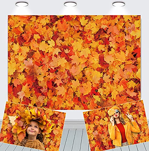 バック紙 背景紙 ウォールペーパー イベント パーティー 紅葉 ハロウィン Amazon.co.jp: バック紙 背景紙 壁紙 ウォールペーパー イベント